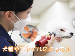 ２年生へ向けて！先生の試技会①♪